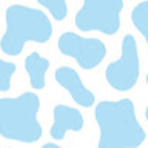 Meet your Posher, Sofia